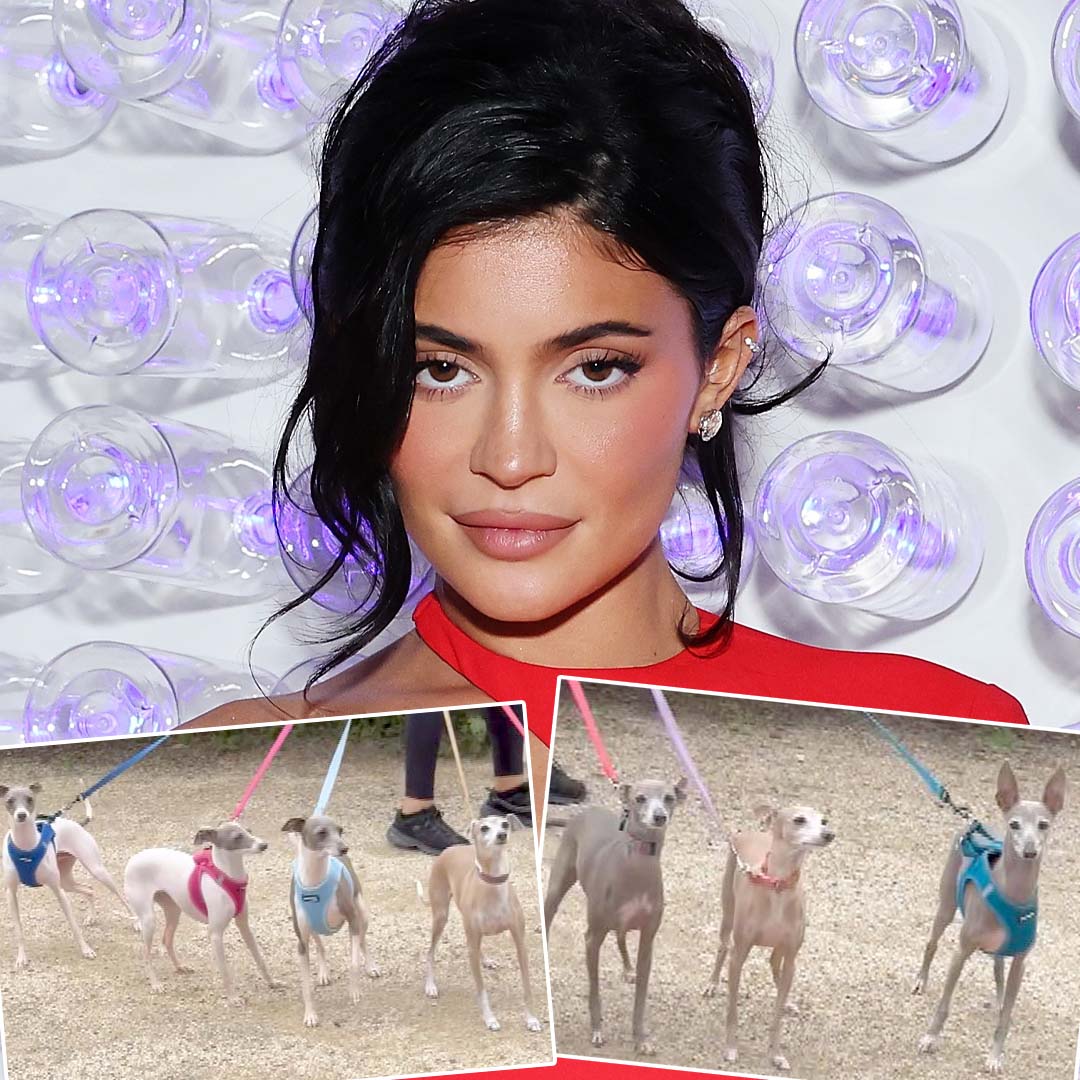 Kylie Jenner Reveals She Has Seven Italian Greyhounds