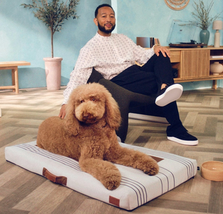 John Legend Creator Collab: Modern Dog bed and Washable Cover