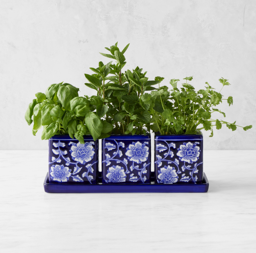 Williams Sonoma Blue & White Ceramic Herb Tray with Pots