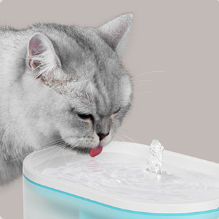 Petlibro Cat Water Fountain