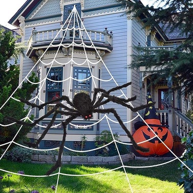 Ocato Halloween Spider with Web