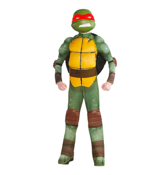 Nickelodeon Teenage Mutant Ninja Turtles Costumes for Boys