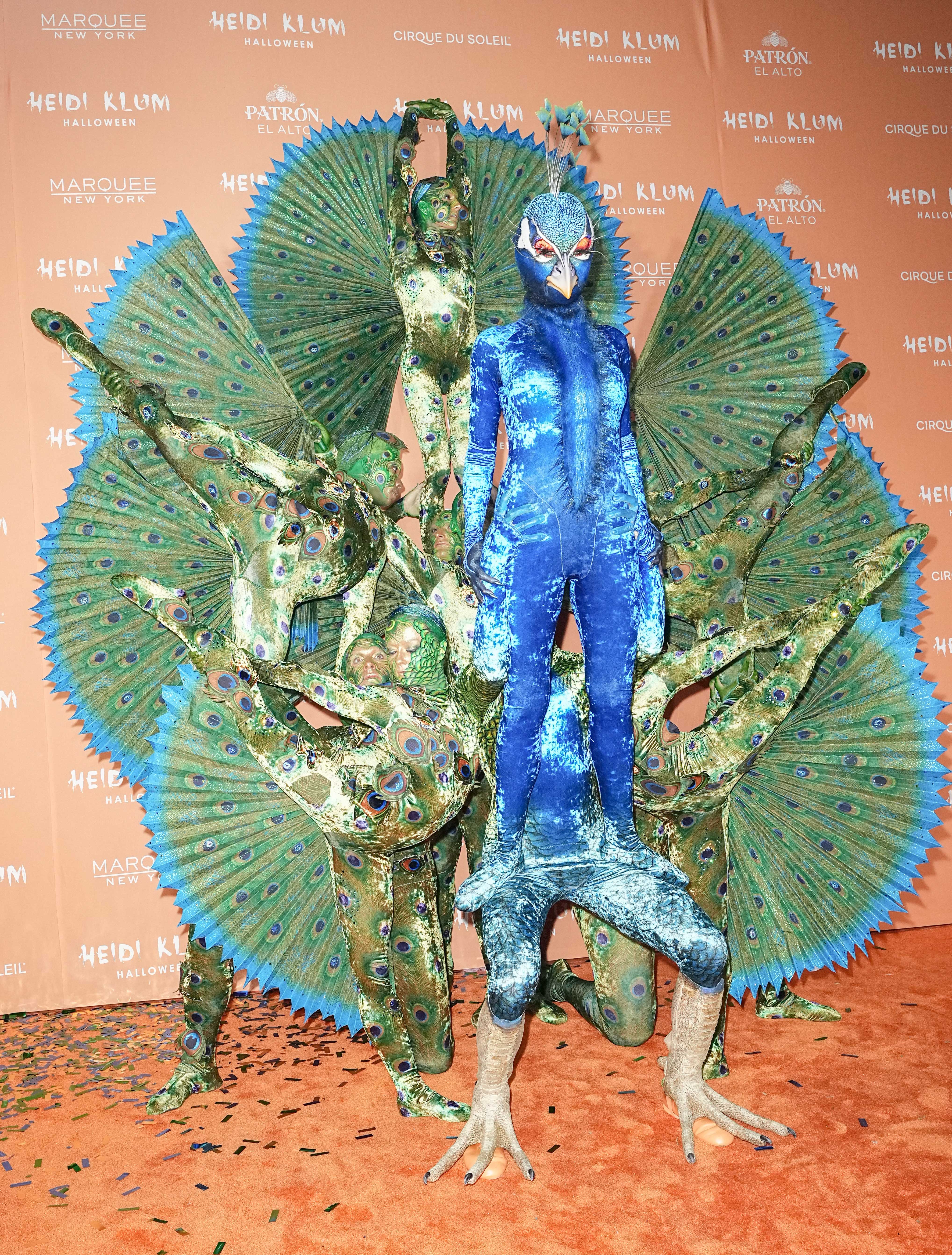 Girls Peacock Costume — Costume Super Center