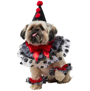 Frisco Clown Dog & Cat Costume Accessory