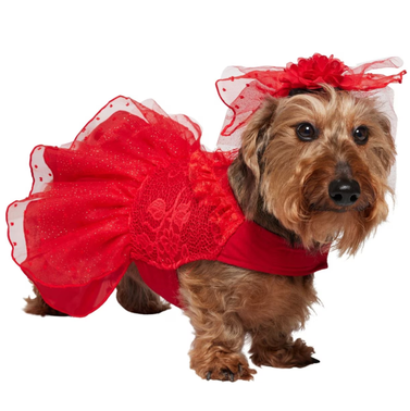 Frisco Red Ruffle Dog & Cat Dress + Headpiece