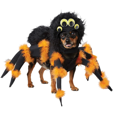 California Costumes Pet Spider Dog Costume
