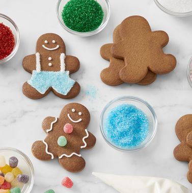 Williams Sonoma Gingerbread Cookie DIY Kit