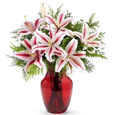 FromYouFlowers Peppermint Striped Stargazer Lilies