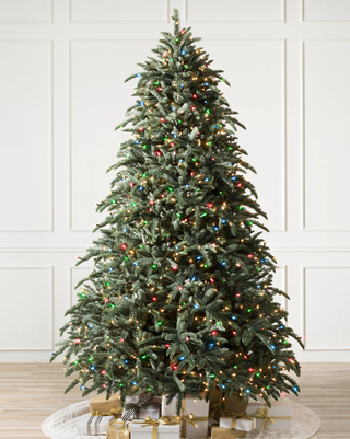 BH Noble Fir