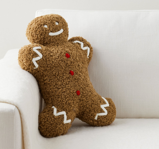 Mr. Spice Gingerbread Pillow