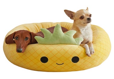 Squishmallows 24-Inch Maui Pineapple Pet Bed