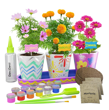 Dan&Darci Paint & Plant Stoneware Flower Gardening Kit