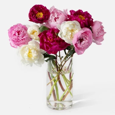 The Grower's Choice Peony Bouquet