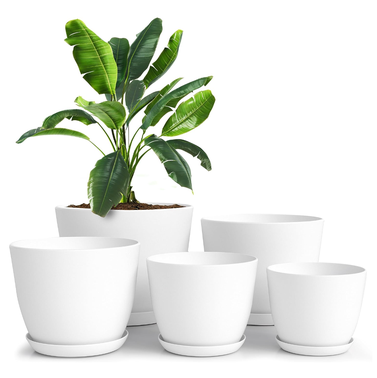 Utopia Home Plant Pots with Drainage (Set of 5)