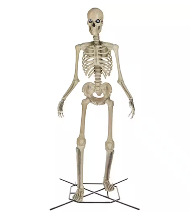 Home Accents Holiday 12-Foot Skelly