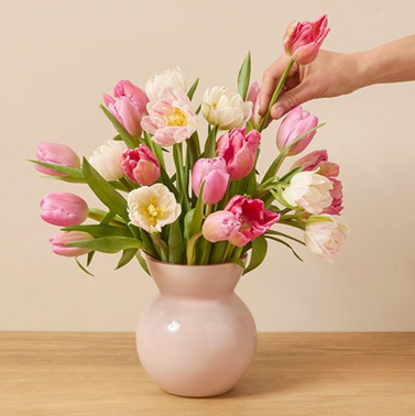 The Spring Tulip Arrangement