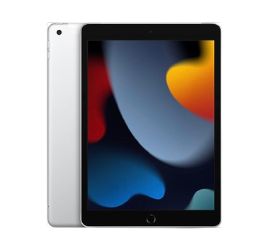 2021 Apple iPad (9th Gen WiFi + Cellular)