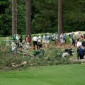 The Masters Grinds to a Halt After 3 Massive Pine Trees Topple Over
