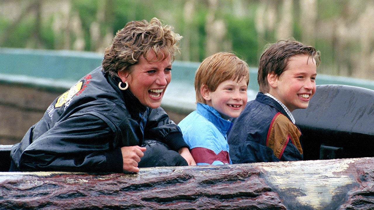 Late Princess Diana's Sweetest Moments With Sons Prince William and ...