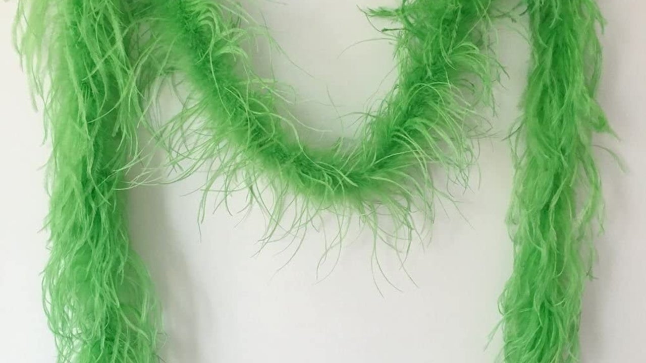 Feather Boas: Animal Welfare Activists Concerned Over Harry Styles' Fashion  Influence - One Green Planet