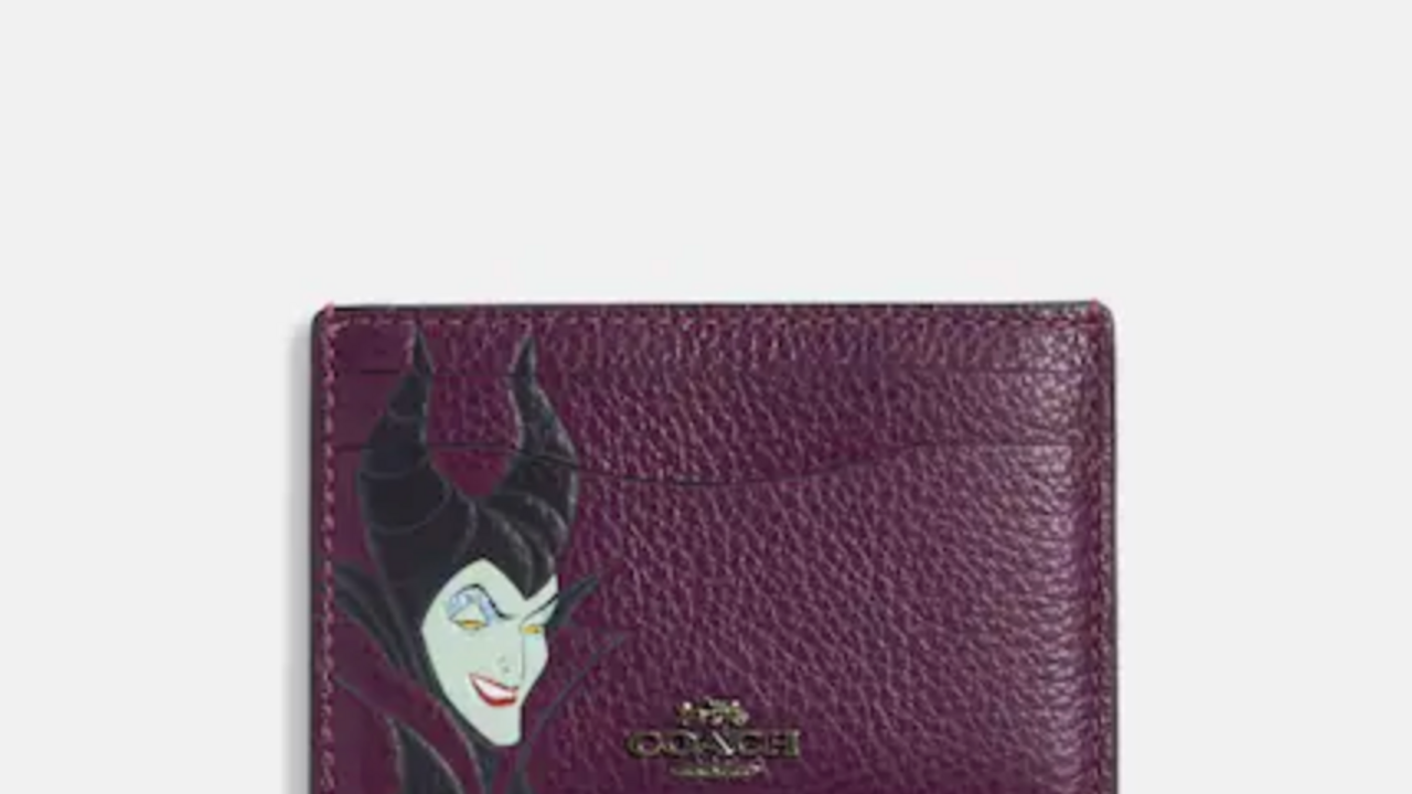 Coach's New Disney Villains Collection Is 60% Off Right Now: Shop Totes,  Wallets, and More