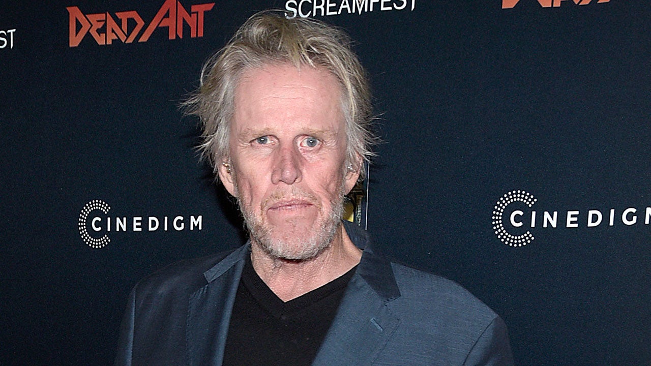 Gary Busey Allegedly Involved in California Hit-and-Run Accident