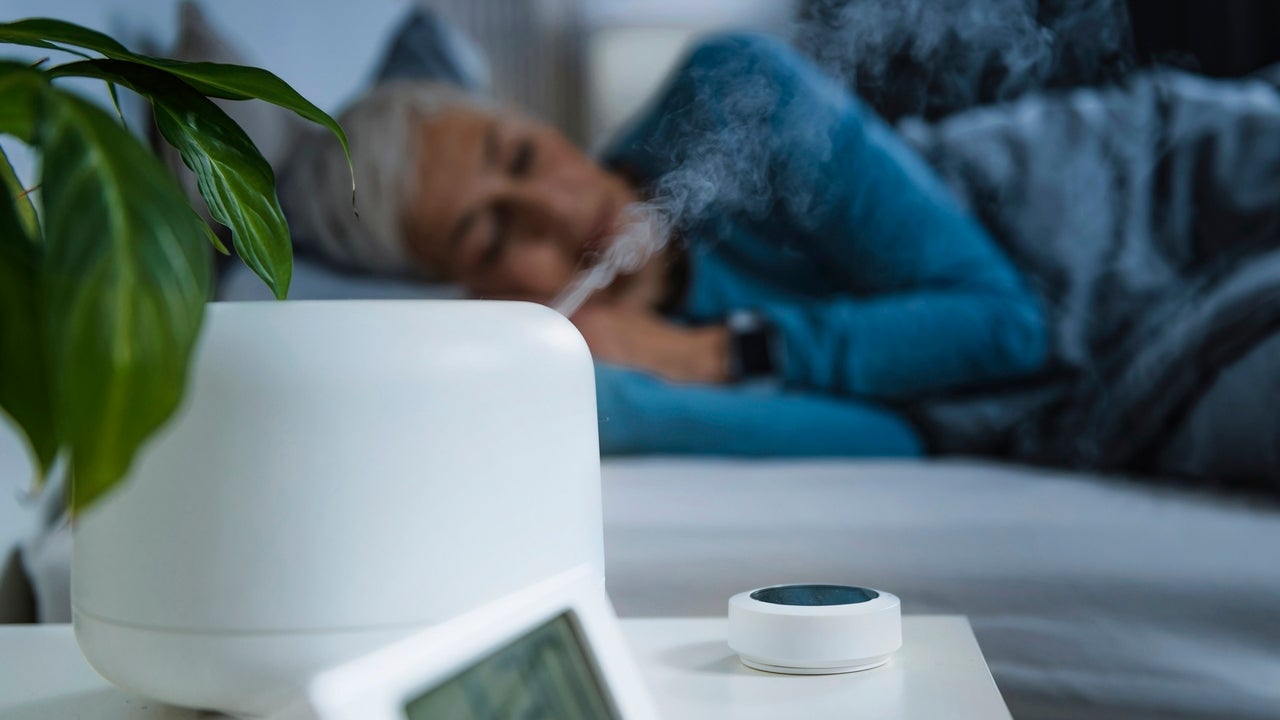 The Best Humidifiers of 2024 to Combat Static and Dryness in Your Home This Winter - Vimarsana News