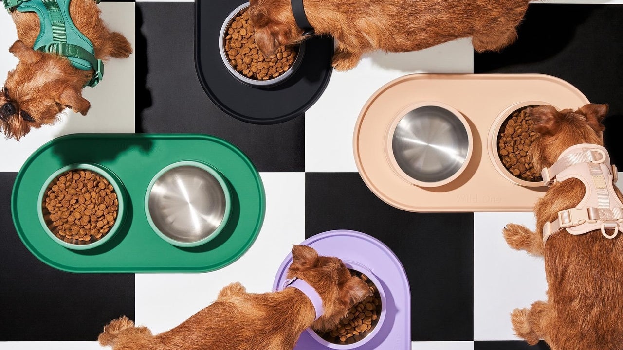 Shop Wild One’s Black Friday Sale to Spoil Your Pet for Less