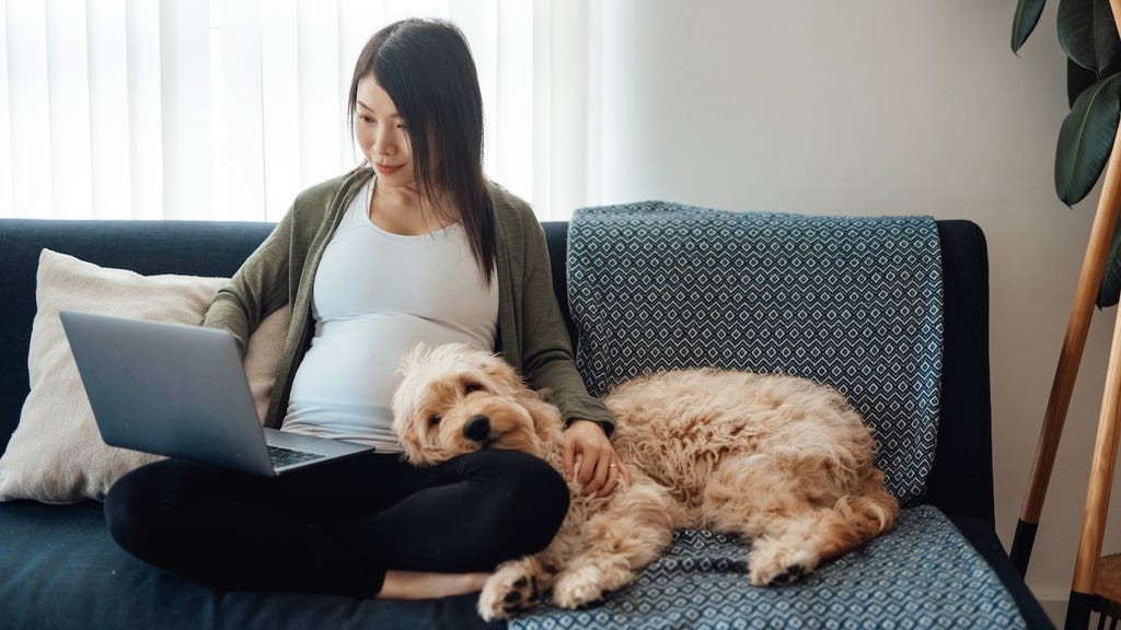 pregnant woman on laptop