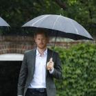 Prince Harry Prince William visits Sunken Gardens