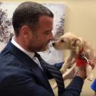 Liev Schreiber With Dogs Rescued From Hurricane Harvey