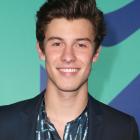 Shawn Mendes