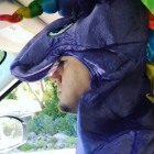 Channing Tatum Halloween