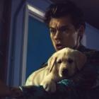 Harry Styles plays with a puppy
