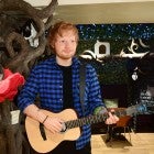 The new Madame Tussauds figure of Ed Sheeran is unveiled at Lady Dinah's Cat Emporium in London.
