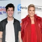 Shawn Mendes, Pink