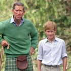 Prince Charles, Harry, and William