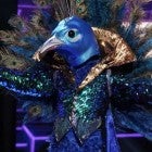 'The Masked Singer'