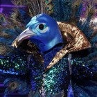 The Peacock, The Bee, The Monster and The Raven on Fox's 'The Masked Singer'