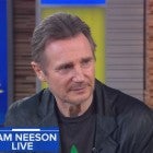 Liam Neeson Proclaims He's 'Not Racist' After Controversial Comments 