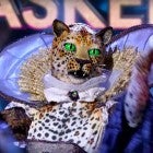 Masked Singer