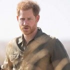 Prince Harry