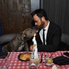 Justin Theroux at Disney+'s "Lady and the Tramp" screening