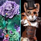 The Flower, The Rottweiler and The Fox from 'The Masked Singer'
