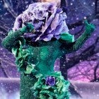 The Flower from 'The Masked Singer'