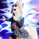 The Masked Singer': The Llama