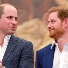 How Prince William and Prince Harry's Relationship Has Changed