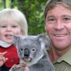 Robert and Steve Irwin
