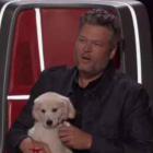 Blake Shelton The Voice