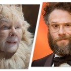 Cats, Seth Rogen